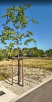 Caromb - Terrain - Groupe Mas Provence