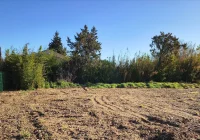 Monteux - Terrain - Groupe Mas Provence