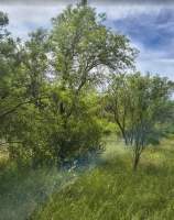 Caromb - Terrain - Groupe Mas Provence