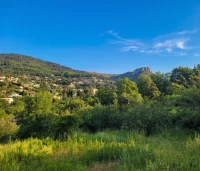 Vence - Terrain - Groupe Mas Provence