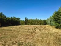 Monteux - Terrain - Groupe Mas Provence