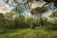 Terrain &agrave; b&acirc;tir - Opio (6) - Mas Provence
