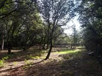 Terrain &agrave; b&acirc;tir - Cabri&egrave;res-d'Avignon (84) - Mas Provence