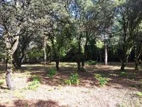 Terrain &agrave; b&acirc;tir - Cabri&egrave;res-d'Avignon (84) - Mas Provence