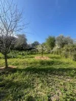 Terrain &agrave; b&acirc;tir - Biot (6) - Mas Provence