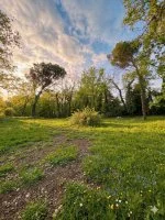 Terrain &agrave; b&acirc;tir - Opio (6) - Mas Provence