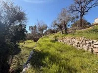 Terrain &agrave; b&acirc;tir - Roquefort-les-Pins (6) - Mas Provence