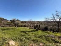 Terrain &agrave; b&acirc;tir - Roquefort-les-Pins (6) - Mas Provence