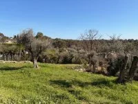 Terrain &agrave; b&acirc;tir - Roquefort-les-Pins (6) - Mas Provence