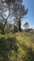 Terrain &agrave; b&acirc;tir - Roquefort-les-Pins (6) - Mas Provence
