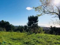 Terrain &agrave; b&acirc;tir - Cagnes-sur-Mer (6) - Mas Provence