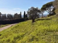 Terrain &agrave; b&acirc;tir - Grasse (6) - Mas Provence