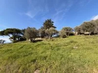 Terrain &agrave; b&acirc;tir - Grasse (6) - Mas Provence