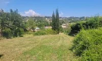 Terrain &agrave; b&acirc;tir - La Colle-sur-Loup (6) - Mas Provence
