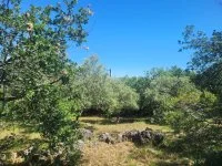 Terrain &agrave; b&acirc;tir - La Gaude (6) - Mas Provence