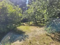 Terrain &agrave; b&acirc;tir - La Gaude (6) - Mas Provence