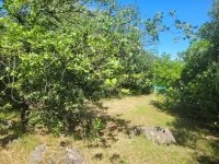 Terrain &agrave; b&acirc;tir - La Gaude (6) - Mas Provence
