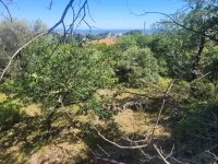 Terrain &agrave; b&acirc;tir - La Gaude (6) - Mas Provence