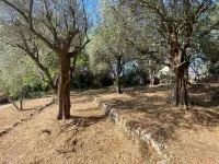 Terrain &agrave; b&acirc;tir - Grasse (6) - Mas Provence