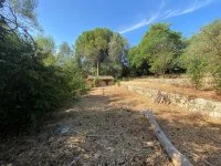 Terrain &agrave; b&acirc;tir - Grasse (6) - Mas Provence
