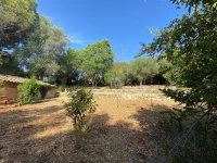Terrain &agrave; b&acirc;tir - Grasse (6) - Mas Provence