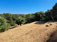 Terrain &agrave; b&acirc;tir - Mougins (6) - Mas Provence