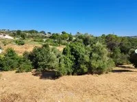 Terrain &agrave; b&acirc;tir - Mougins (6) - Mas Provence