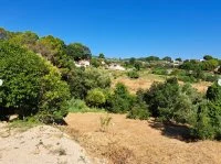Terrain &agrave; b&acirc;tir - Mougins (6) - Mas Provence