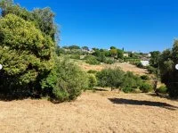 Terrain &agrave; b&acirc;tir - Mougins (6) - Mas Provence