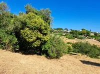 Terrain &agrave; b&acirc;tir - Mougins (6) - Mas Provence