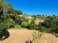 Terrain &agrave; b&acirc;tir - Mougins (6) - Mas Provence