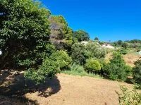 Terrain &agrave; b&acirc;tir - Mougins (6) - Mas Provence