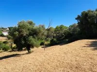 Terrain &agrave; b&acirc;tir - Mougins (6) - Mas Provence