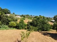 Terrain &agrave; b&acirc;tir - Mougins (6) - Mas Provence