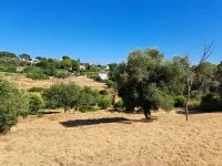 Terrain &agrave; b&acirc;tir - Mougins (6) - Mas Provence