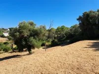 Terrain &agrave; b&acirc;tir - Mougins (6) - Mas Provence