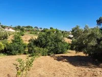 Terrain &agrave; b&acirc;tir - Mougins (6) - Mas Provence