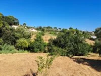 Terrain &agrave; b&acirc;tir - Mougins (6) - Mas Provence