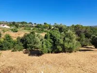 Terrain &agrave; b&acirc;tir - Mougins (6) - Mas Provence
