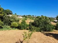 Terrain &agrave; b&acirc;tir - Mougins (6) - Mas Provence