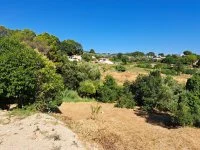 Terrain &agrave; b&acirc;tir - Mougins (6) - Mas Provence
