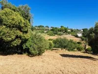 Terrain &agrave; b&acirc;tir - Mougins (6) - Mas Provence