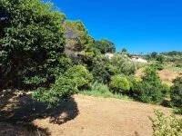 Terrain &agrave; b&acirc;tir - Mougins (6) - Mas Provence