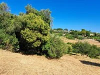 Terrain &agrave; b&acirc;tir - Mougins (6) - Mas Provence