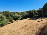 Terrain &agrave; b&acirc;tir - Mougins (6) - Mas Provence