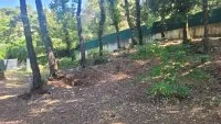 Terrain &agrave; b&acirc;tir - La Gaude (6) - Mas Provence