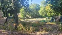 Terrain &agrave; b&acirc;tir - La Gaude (6) - Mas Provence