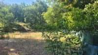Terrain &agrave; b&acirc;tir - La Gaude (6) - Mas Provence