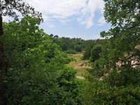 Terrain &agrave; b&acirc;tir - Grasse (6) - Mas Provence