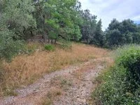 Terrain &agrave; b&acirc;tir - Grasse (6) - Mas Provence